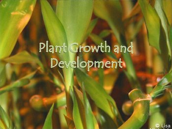 GROWTH AND DEVELOPMENT IN PLANTS