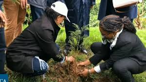 SCI/P/7: AGRO-FORESTRY 1