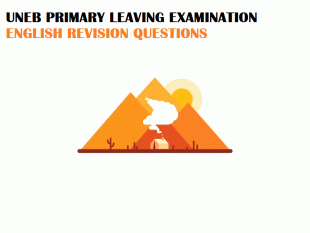 UNEB- PRIMARY LEAVING EXAMINATIONS ENGLISH REVISION QUESTIONS 3