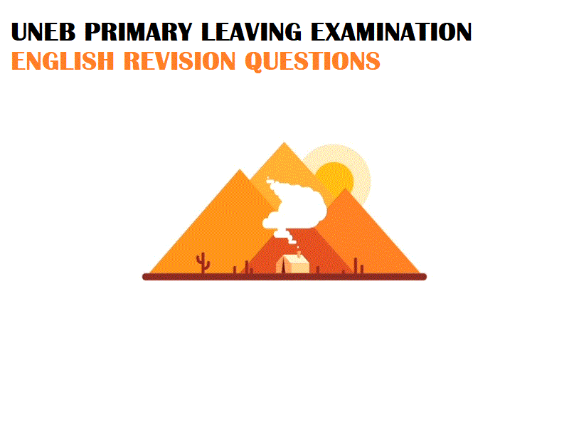 UNEB- PRIMARY LEAVING EXAMINATIONS ENGLISH REVISION QUESTIONS 4