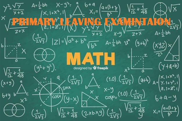 UNEB- PRIMARY LEAVING EXAMINATIONS MATHEMATICS REVISION QUESTIONS 3