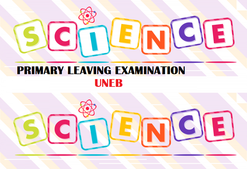 UNEB- PRIMARY LEAVING EXAMINATIONS SCIENCE REVISION QUESTIONS 1