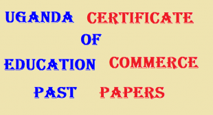 UGANDA CERTIFICATE OF EDUCATION COMMERCE PAST PAPERS 10