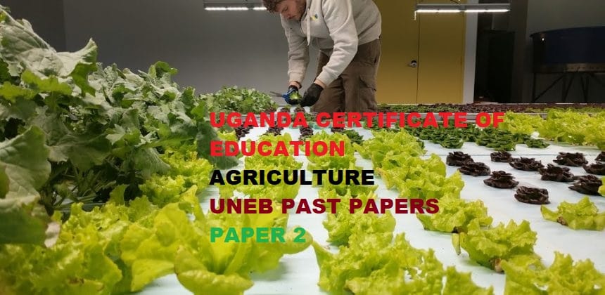 UGANDA CERTIFICATE OF EDUCATION AGRICULTURE PAPER TWO UNEB PAST PAPERS 4
