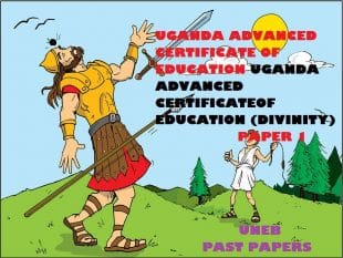 UGANDA ADVANCED CERTIFICATE OF EDUCATION CHRISTIAN RELIGIOUS EDUCATION (DIVINITY) PAST PAPERS PAPER 1 28