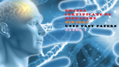 Educare essays image