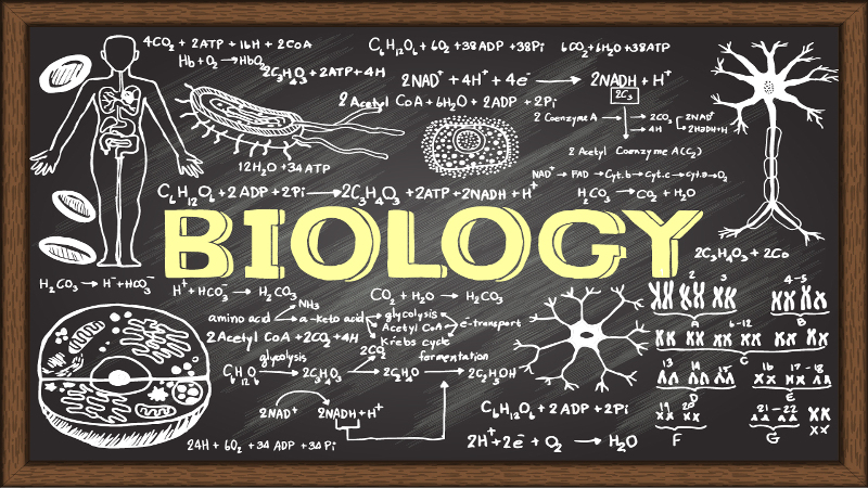 UACE BIOLOGY PAPER ONE 2008 MARKING GUIDE-Quality Tutors Uganda 5