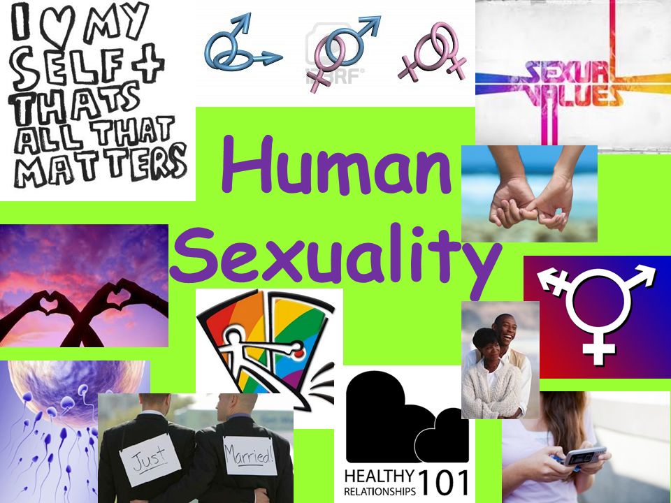 Respect for Human sexuality