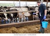 AGRIC/5: ANIMAL PRODUCTION III: Livestock Rearing and the Environment 1