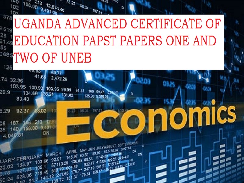 UGANDA ADVANCED CERTIFICATE OF EDUCATION ECONOMICS 2019 PAST PAPERS (1&2) 4