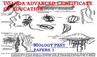 DOWNLOAD UACE BIOLOGY PAPER ONE 2007 MARKING GUIDE 1