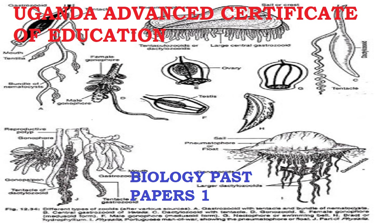 UGANDA ADVANCED CERTIFICATE OF EDUCATION BIOLOGY UNEB PAST PAPERS PAPER 1 5
