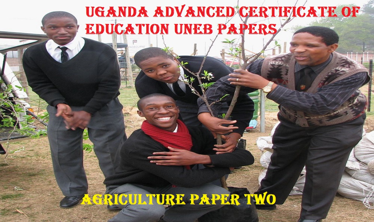 UGANDA ADVANCED CERTIFICATE OF EDUCATION AGRICULTURE PAPER TWO UNEB PAST PAPERS 2