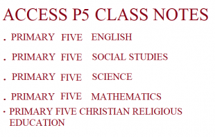 Download a Combination of All Primary Five Subjects 6