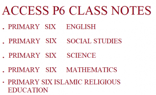 Download a Combination of All Primary Six Subjects 2