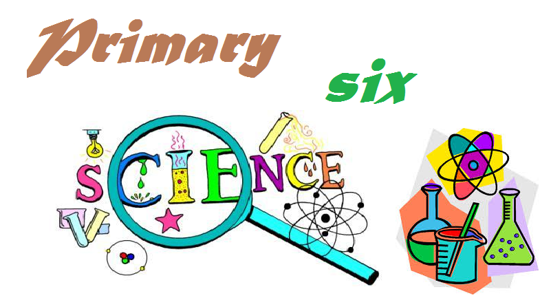 Light Academy Nursery & Primary (Primary Six Questions) 1