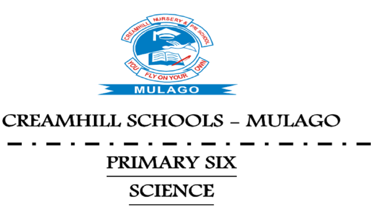 CREAMHILL SCHOOLS - MULAGO PRIMARY SIX SCIENCE NOTES SET IV 8