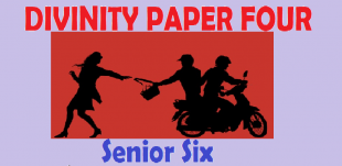 DIV4/6: DIVINITY PAPER FOUR SENIOR SIX 2