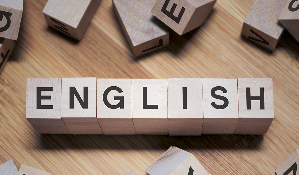 SENIOR TWO ENGLISH LOWER CURRICULUM